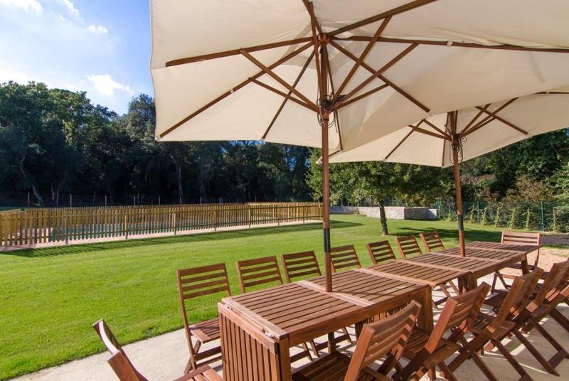 Club Villamar - Maria Saris Monells Exteriér fotografie
